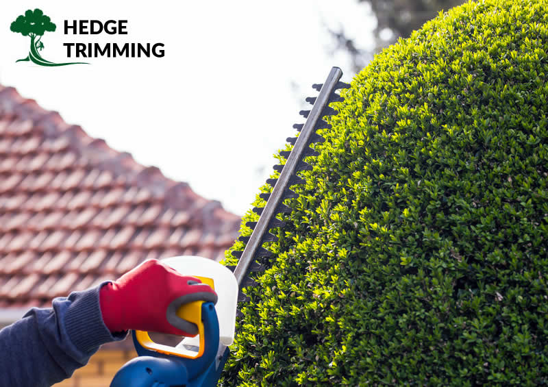 hedge trimming in rochdale